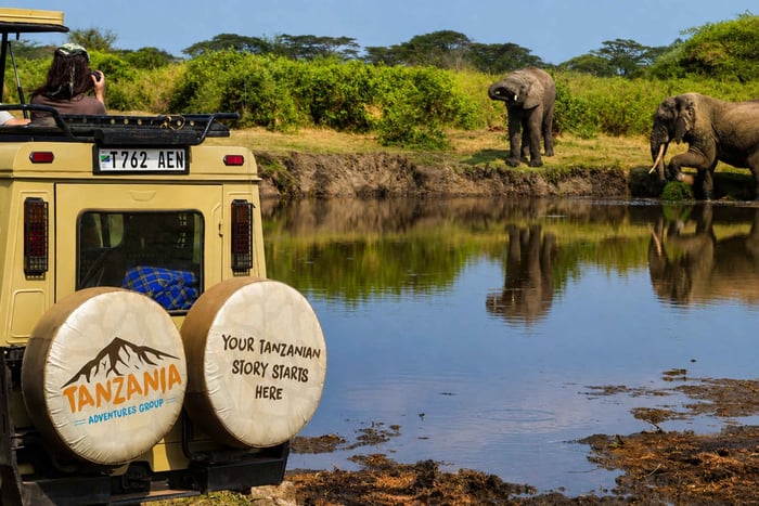 3-Day Tanzania Signature Private Wildlife Safari