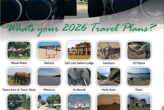 Safári de luxo de 3 dias em Masai Mara: cinco grandes, Landcruiser, guia