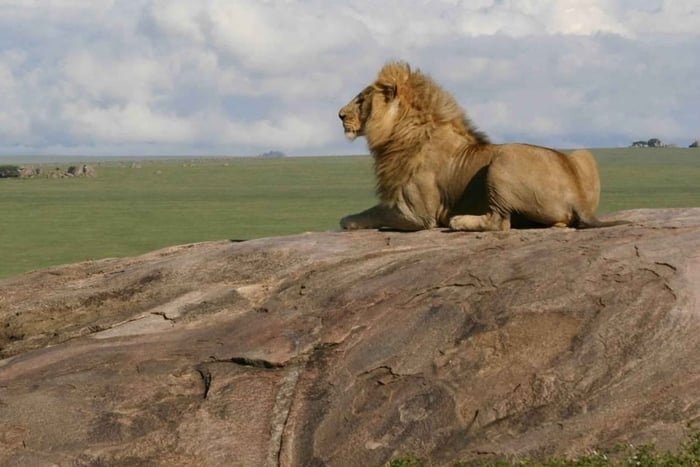 Safári Compartilhado de 5 Dias no Serengeti, Ngorongoro e Lago Manyara