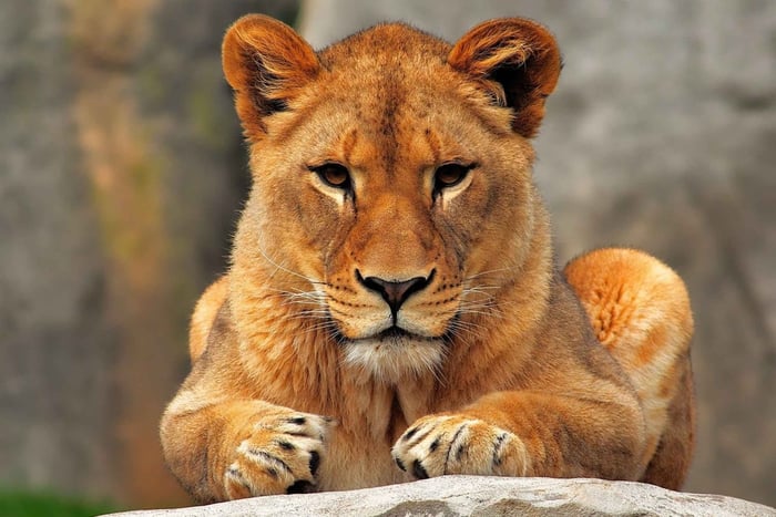 7-Day Budget Camping Safari in Tanzania