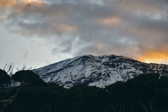 7-Day Lemosho Route Mt.Kilimanjaro Trek Budget Experience