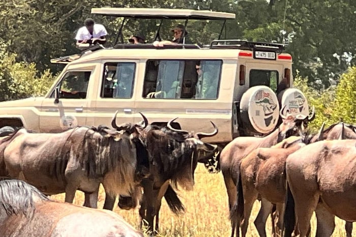 Arusha: 7 päivän safari Tarangireen, Serengetiin ja Ngorongoroon