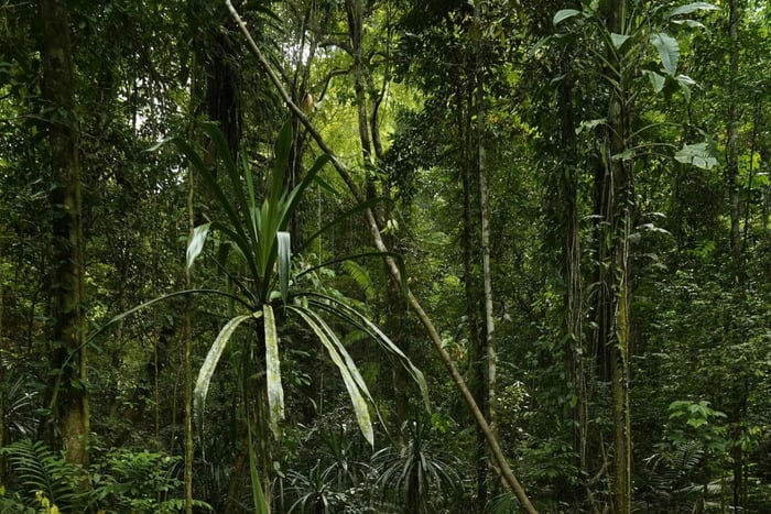 Arusha : sources chaudes de Chemka et visite d'un village masaï