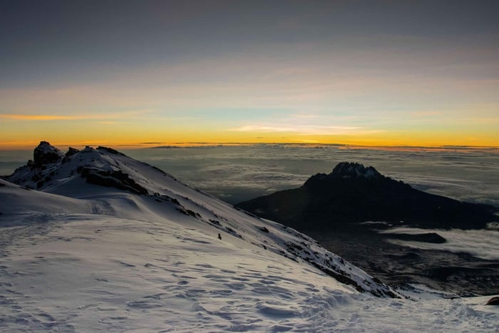 Arusha: Mount Kilimanjaro Day Trekking Experience