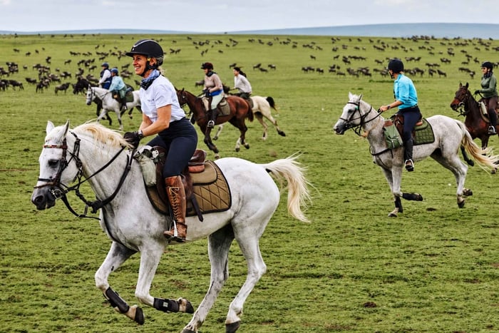 Arusha: Private Horseback Riding Safari with Hotel Pickup