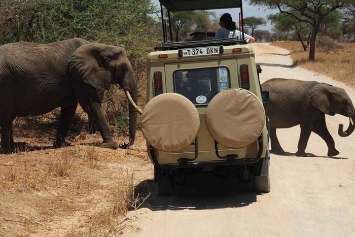 El mejor safari especial de 1 día en el cráter del Ngorongoro para ver a los 5 grandes en Tanzania