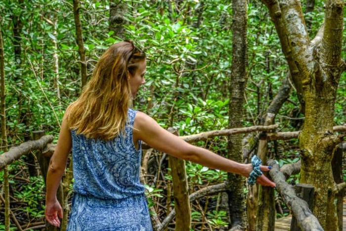 Chumbe Island: Guided Forest Walk with Wildlife Spotting