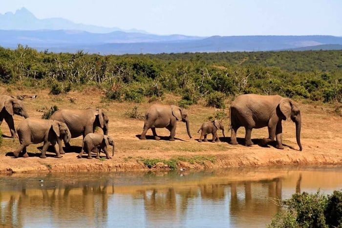 Dar es Salaam: 3-Day Mikumi Safari by Train & Chizua Falls