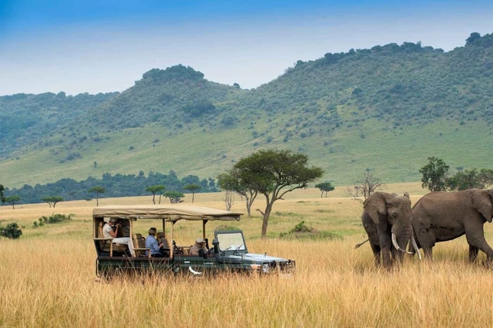 Day Trip to Amboseli National Park for Seniors