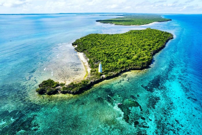Découvrez l'île de Tumbatu : Aventure privée de plongée avec tuba
