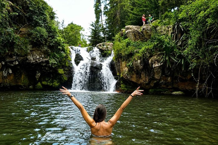 From Arusha: 3-Day Safari, Waterfalls, & Hot Springs Tour