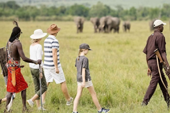 From Arusha: Arusha National Park Day Trip with Lunch