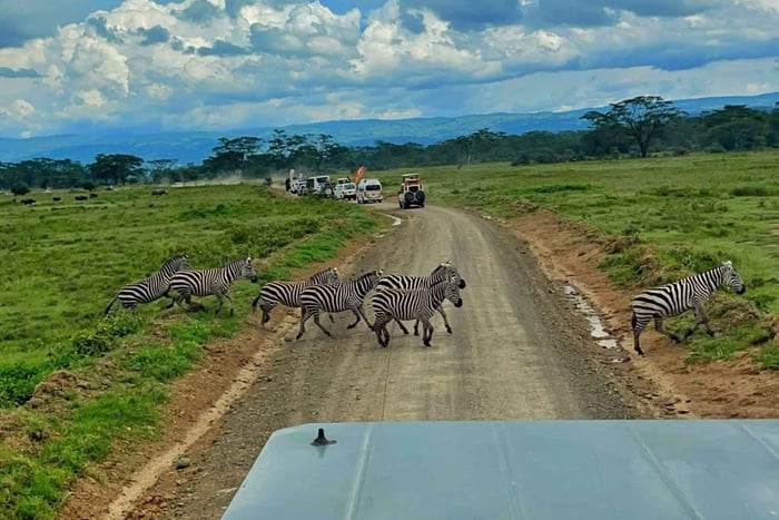 From Arusha: Day trip to Tarangire National Park