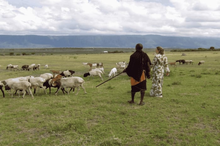 Fra Arusha: Maasai-landsby og kulturel tur til Mto wa Mbu