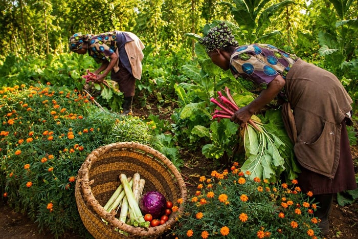 From Arusha: Village Tour with Farm Visit & Cooking Class