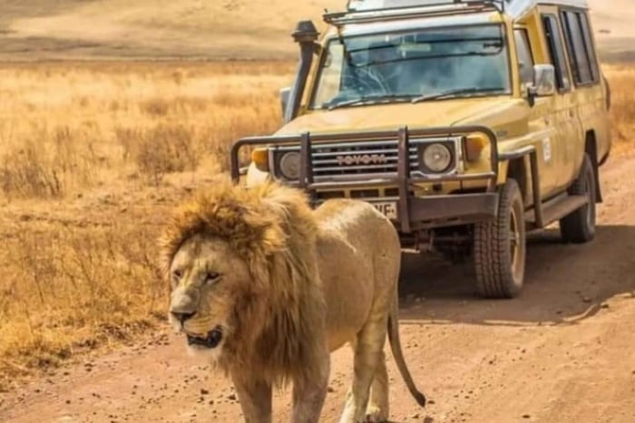 From Dar es Salaam: 1-Day Mikumi National Park Safari
