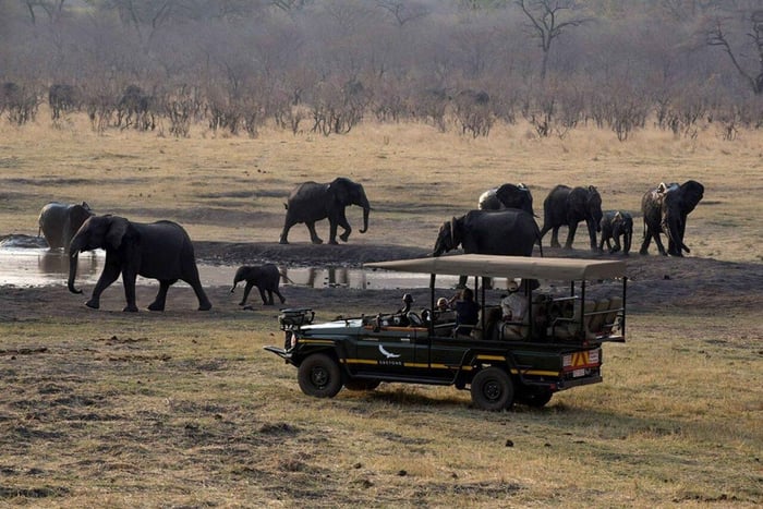 From Dar es Salaam: 2-Day Mikumi Safari by SGR Train