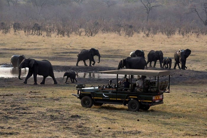 From Dar es Salaam: 2-Day Nyerere Safari with Game Drive