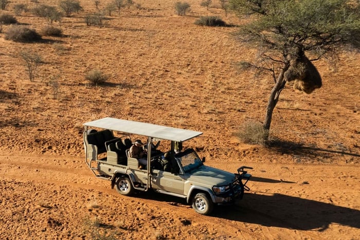 From Dar es Salaam: Mikumi Safari Day Trip by SGR Train