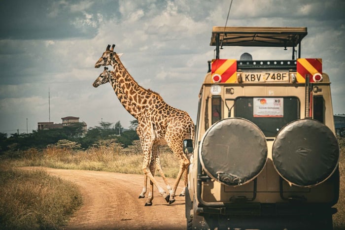 From Dar es salaam: Mikumi safari Day Trip by SGR Train