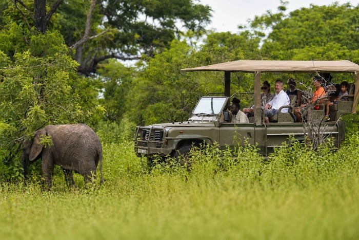 Desde Dar es-Salam: 2 días privados en el Parque Nacional de Nyerere