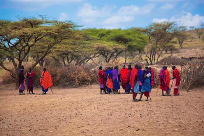 From Moshi: Maasai Village Tour with Lunch & Walking Safari