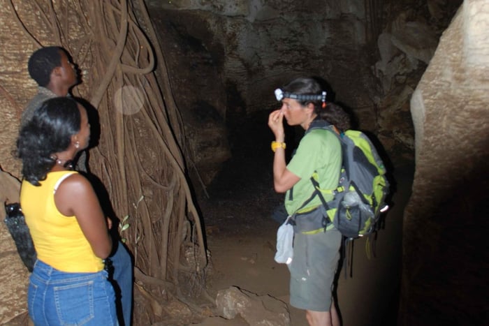 From Tanga: Amboni Caves Guided Tour with Hotel Transfer