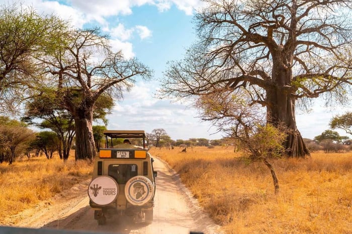 De Zanzibar: Safári de 3 Dias na Tanzânia: Tarangire e Ngorongoro