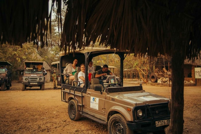 Von Sansibar: 4-tägige Selous-Safari, heiße Quellen mit Flügen