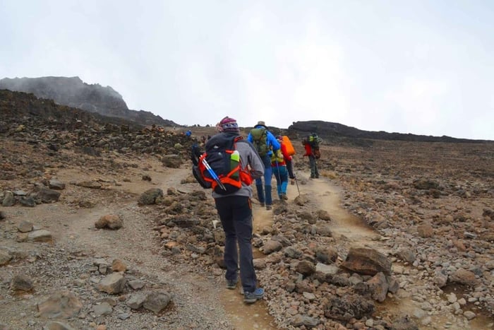 Ruta Lemosho 10 días/9 noches 8 días en la montaña.