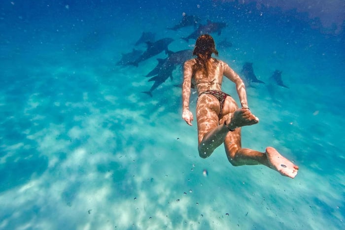 Isla Mnemba: Natación con delfines y snorkel con almuerzo opcional