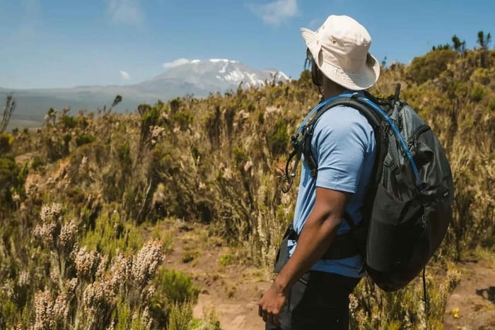 Moshi/Arusha: Kilimanjaron päiväretki – Marangu, Machame tai Shira