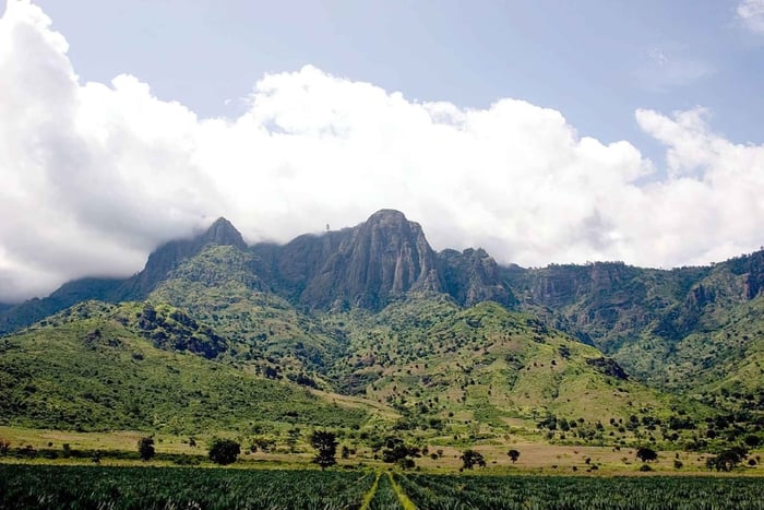 Moshi or Arusha: 4-Day Hadzabe, Maasai, and Kahe Tour