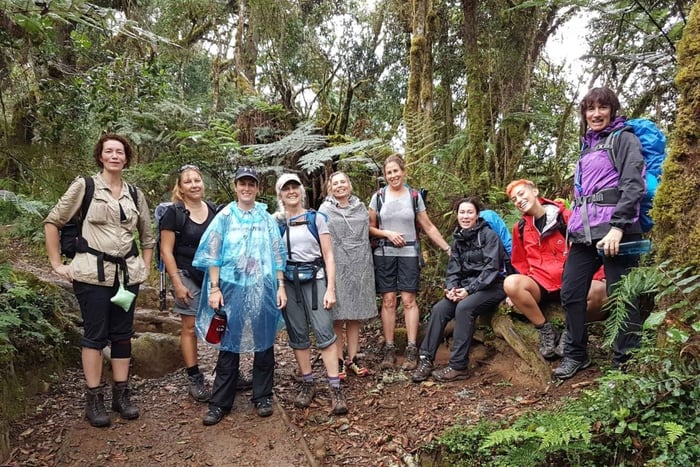 Mount Kilimanjaro Day Trip