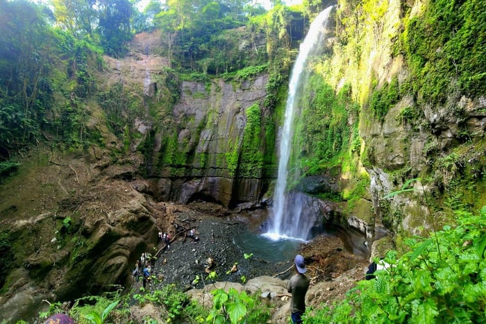 Monte Meru Arusha: caminata por la cascada Napuru por Kingstone Asilia