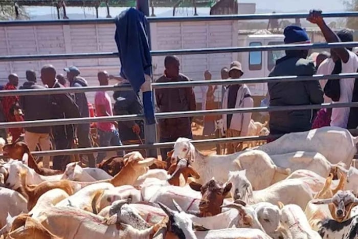 Nairobi: Namanga Cattle Market Guided Tour