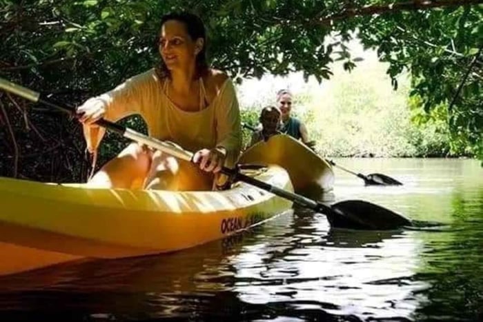 Sansibar: 3 tunnin melontaretki mangrovemetsän läpi