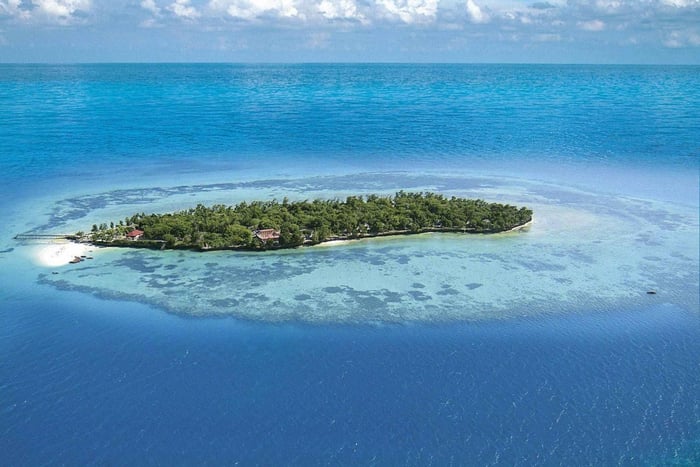 Zanzibar: 4-Day Spice Tour, Jozani Forest, & Prison Island
