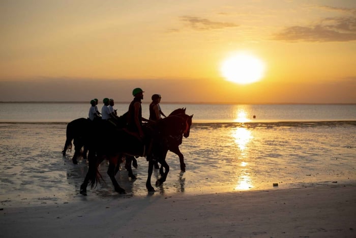 Zanzibar: Przejażdżka konna po plaży