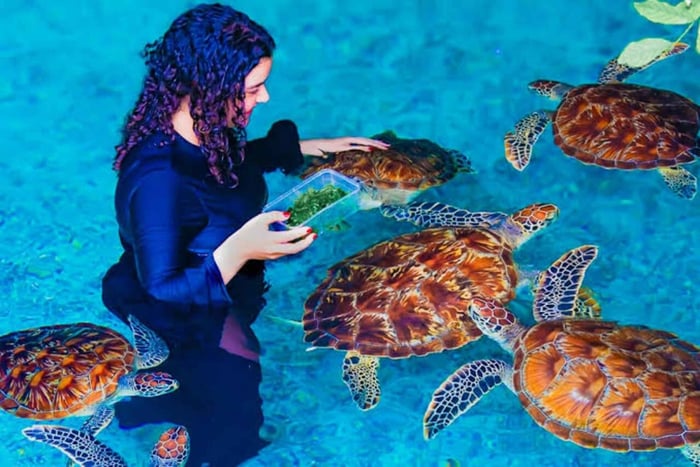 Zanzibar: Blue Lagoon Dhow Cruise and Beach Dinner