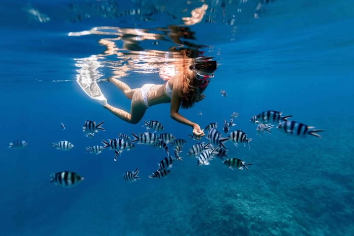 Zanzibar: Blue Lagoon Snorkeling & Starfish Experience
