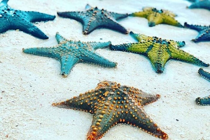 Zanzibar: Laguna Blu, stelle marine e The Rock Restaurant