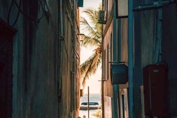 Zanzibar: Evening stone town walking tour with night market