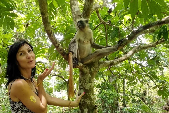 Zanzibar: foresta di Jozani, zoo locale e nuoto con le tartarughe