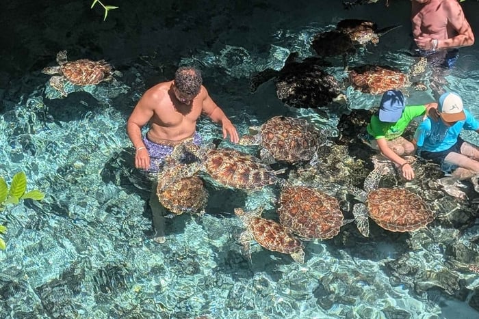 Zanzibar: Jozani Forest & Salaam Cave with Pickup and Entry Fee