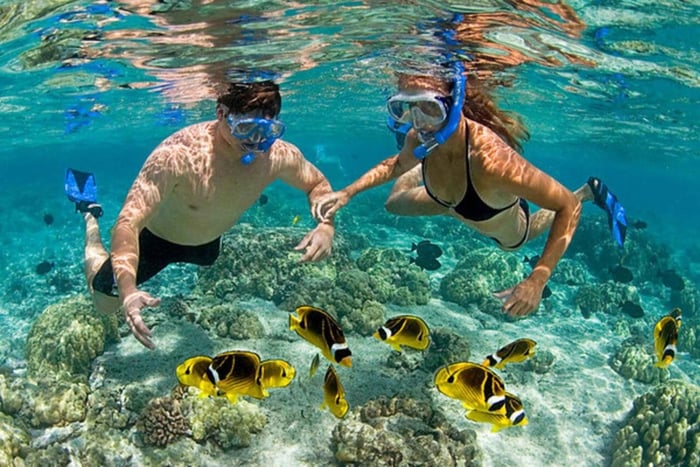 Zanzibar: Snorkling och segling vid Kiwengwa-revet