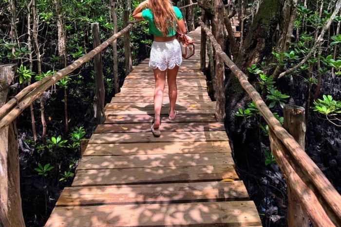 Zanzibar: Mangrove Forest Eco-Kayak Tour