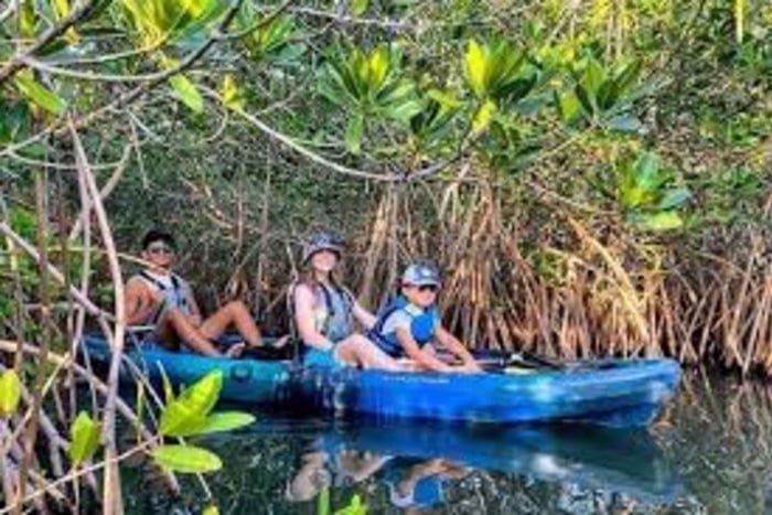 Sansibar: Mangrovemetsän kajakkiretki ja vierailu Paje-rannalla