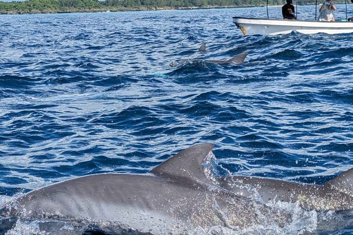 ZANZIBAR : dauphins de Mnemba et grotte de Salaam + prise en charge et entrée.