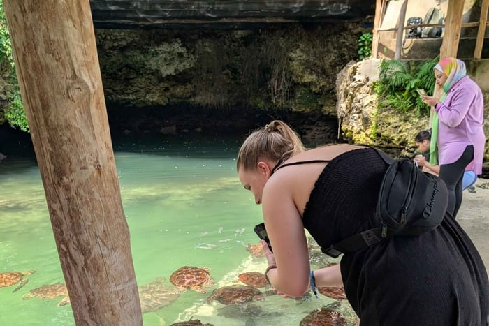 Zanzibar: Nungwi New Lagoon Swim with Sea Turtles & Pickup
